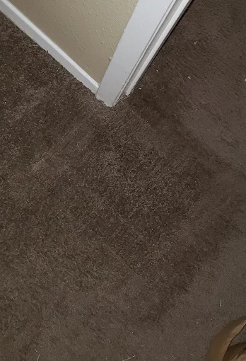 Restored carpet corner after Team Steam service