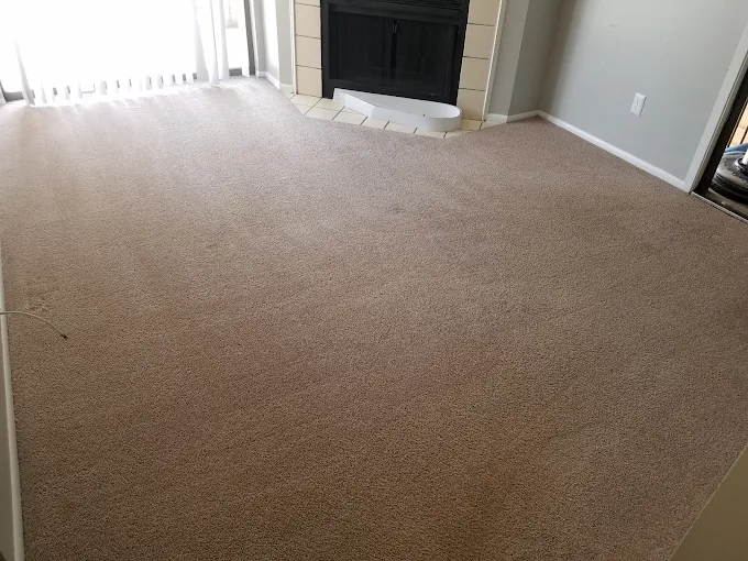 Clean carpeted living room after Team Steam cleaning