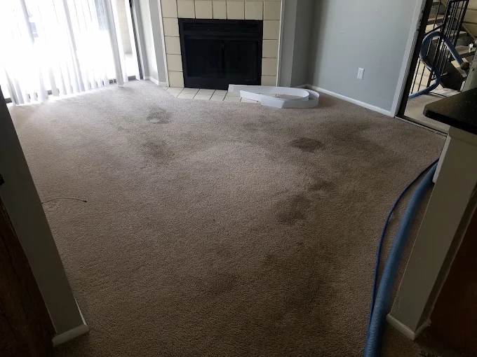 Carpeted living room with visible stains before Team Steam cleaning